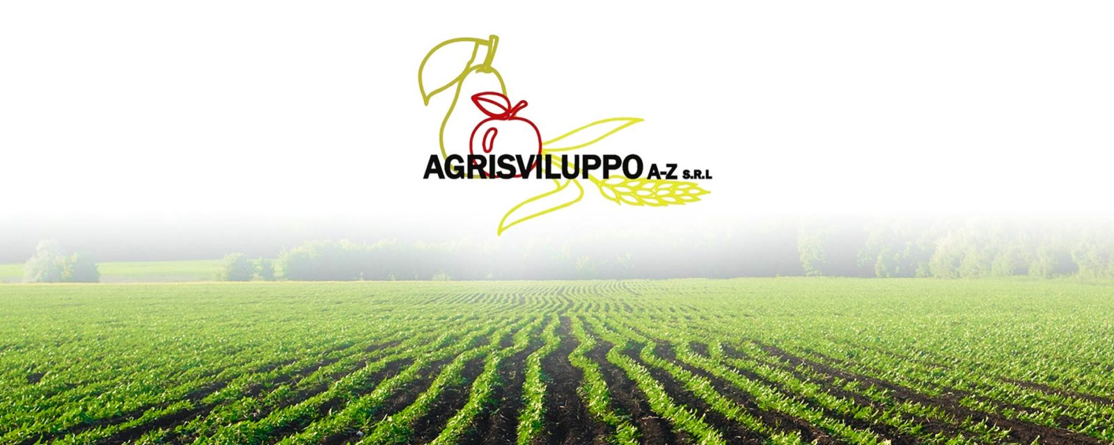agrisviluppo-banner1