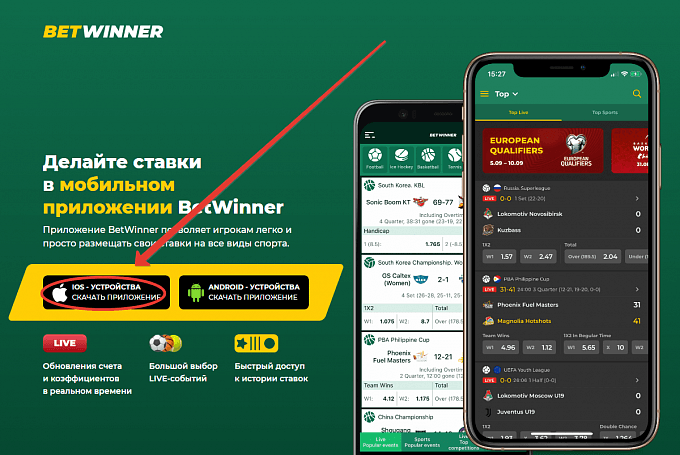 The Art of Sports Betting Strategies, Tips, and Insights into the World of Betting